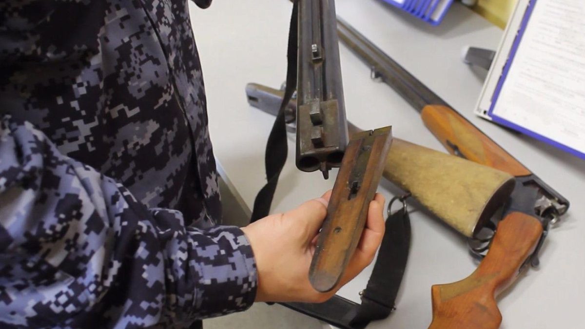 Фото: 13.rosguard.gov.ru