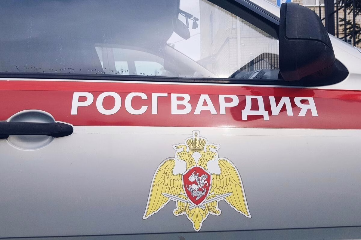 Фото: 13.rosguard.gov.ru