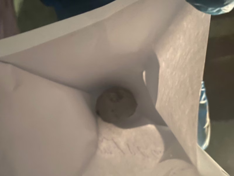 Фото: 13.мвд.рф