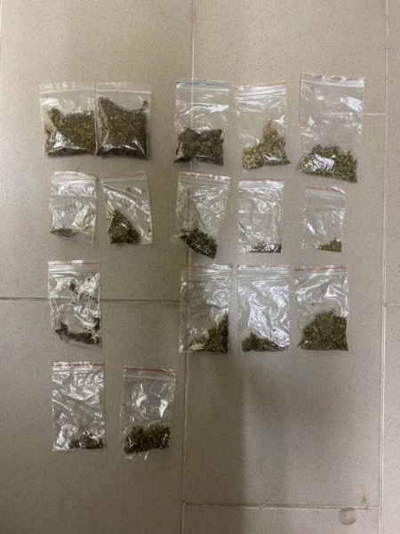 Фото: 13.мвд.рф