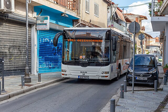 Фото: commons.wikimedia.org/Николай Булыкин/Creative Commons Attribution-Share Alike 4.0