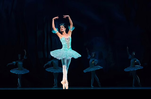 Фото: commons.wikimedia.org/ Laura Fiorucci/Creative Commons Zero, Public Domain Dedication