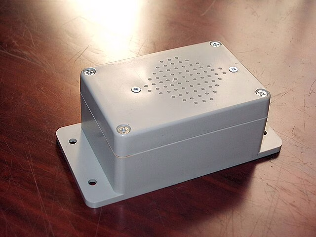 Фото: commons.wikimedia.org/Dilshan Jayakody/Creative Commons Attribution-Share Alike 2.0