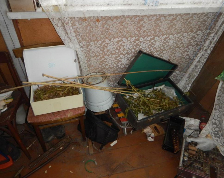 Фото: 13.мвд.рф