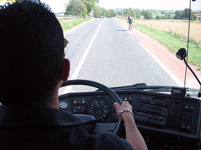 Фото: commons.wikimedia.org/Julien Bertrand/Public domain