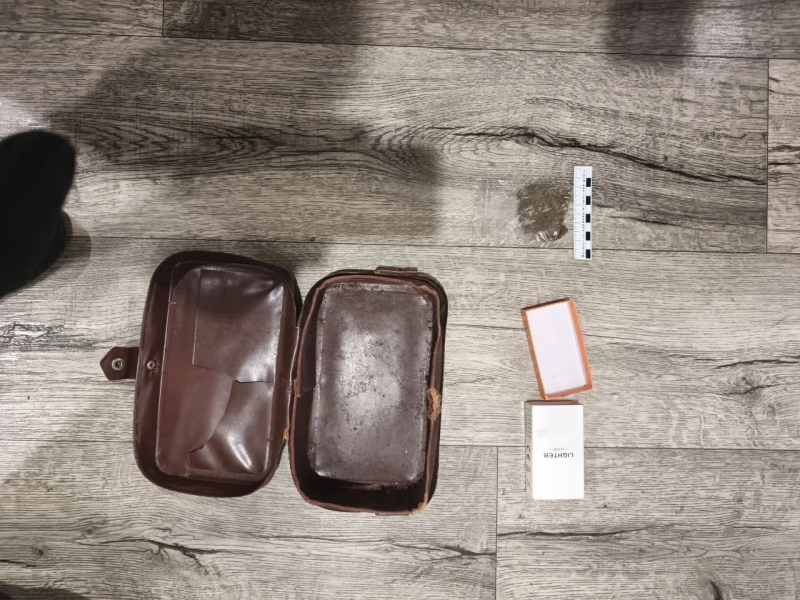 Фото: 13.мвд.рф