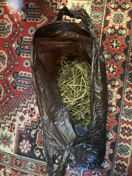 Фото: 13.мвд.рф