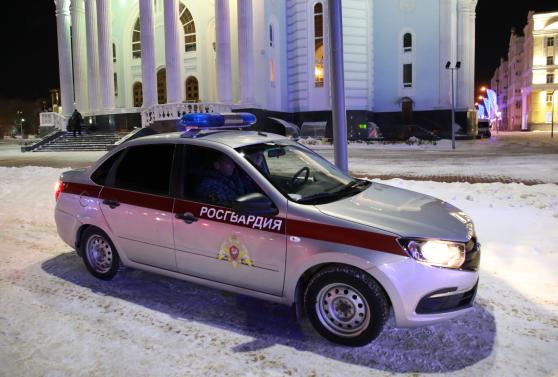 Фото: 13.rosguard.gov.ru