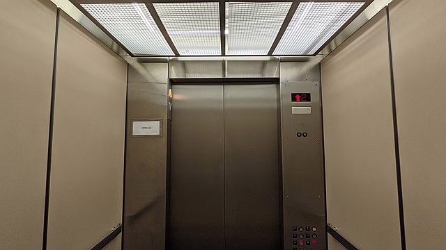 Фото: commons.wikimedia.org/Baron Maddock/Creative Commons Attribution 4.0