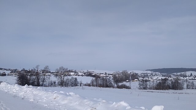 Центр развития соцспорта, филантропии и поддержки детства «Терентич Тим» отметил юбилей