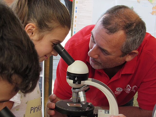 Фото: commons.wikimedia.org/Riccardo.salvini/Creative Commons Attribution 4.0