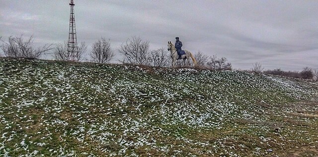 Разыскиваемый гражданин задержан в Саранске в рамках операции «Паутина»