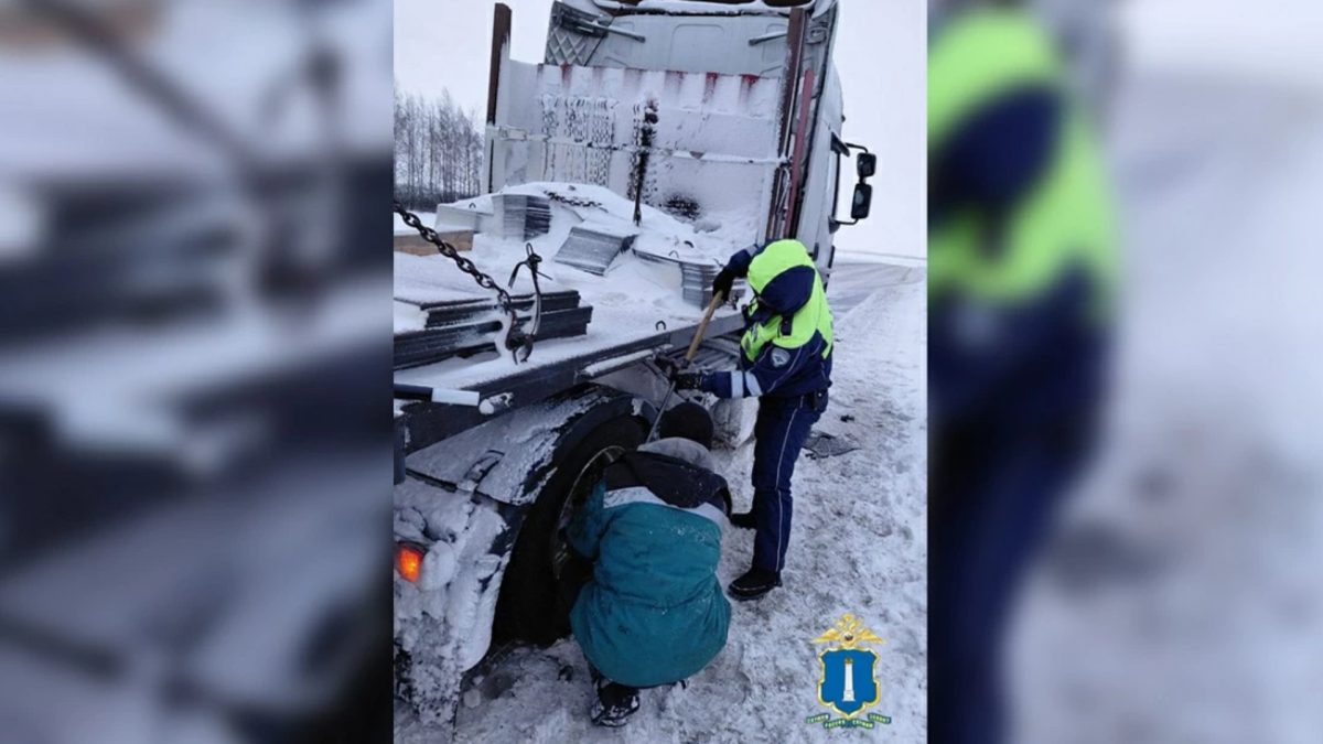 Фото: УМВД России по Ульяновской области