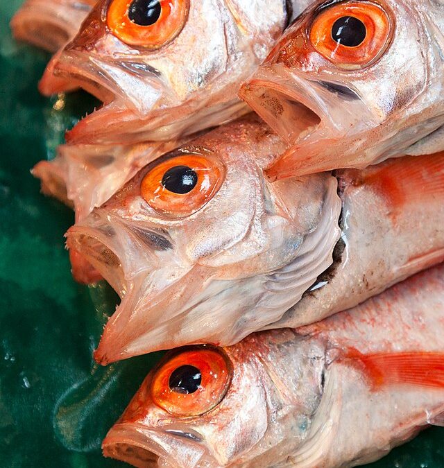 Фото: commons.wikimedia.org/MichaelMaggs/Creative Commons Attribution-Share Alike 3.0