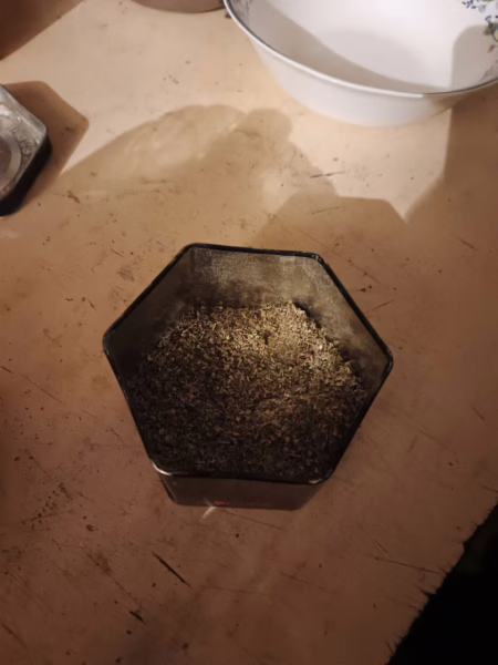 Фото: 13.мвд.рф