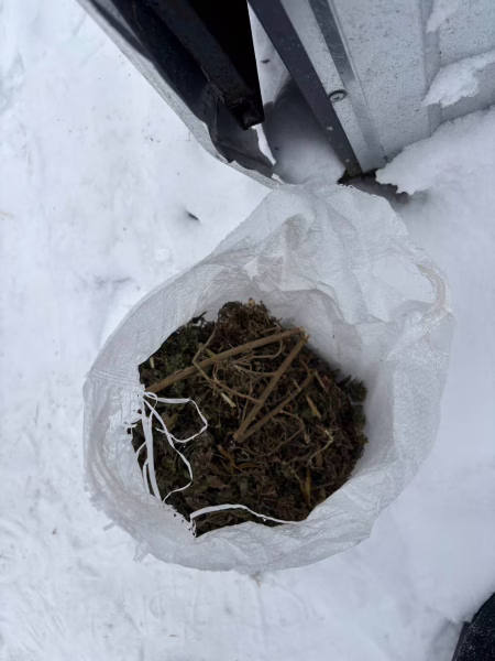 Фото: 13.мвд.рф