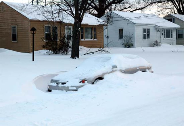 Фото: commons.wikimedia.org/Beau Dodson/Public domain