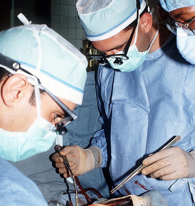 Фото: commons.wikimedia.org/Неизвестен/Public domain