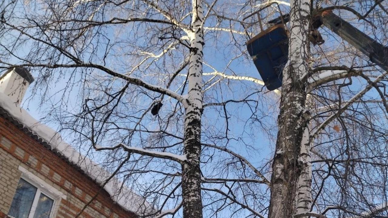 Фото: АНО "Дружба навеки"