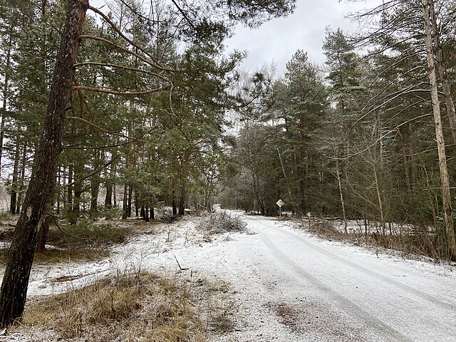 Фото: commons.wikimedia.org/Celest/Creative Commons Attribution-Share Alike 4.0