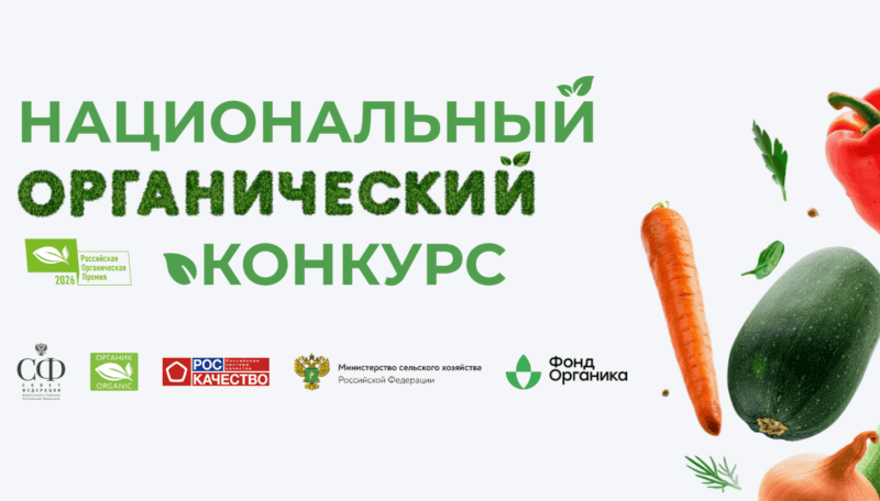 Фото: e-mordovia.ru