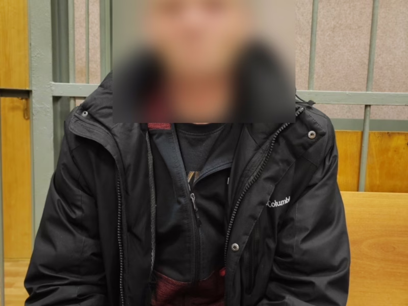 Фото: 13.мвд.рф