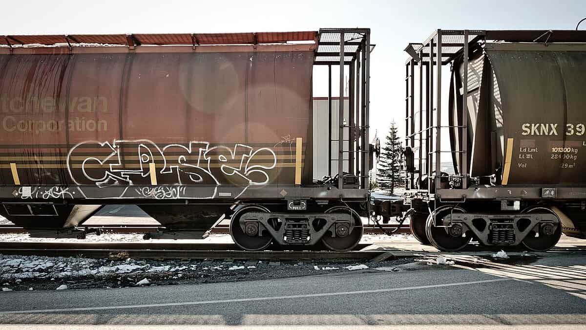 Фото: commons.wikimedia.org/Sharon Mollerus/Creative Commons Attribution 2.0