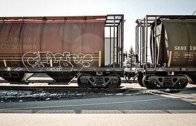 Фото: commons.wikimedia.org/Sharon Mollerus/Creative Commons Attribution 2.0