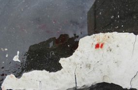 Фото: 13.мвд.рф