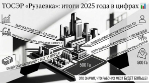 Фото: e-mordovia.ru