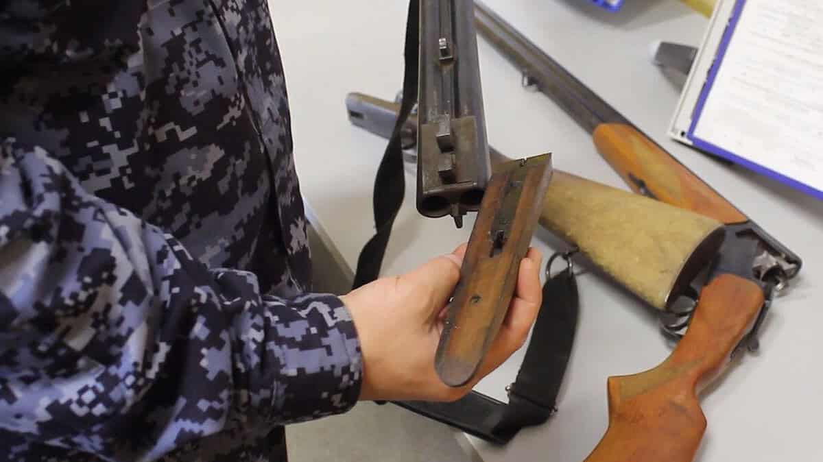 Фото: 13.rosguard.gov.ru