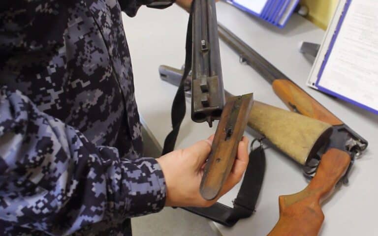 Фото: 13.rosguard.gov.ru