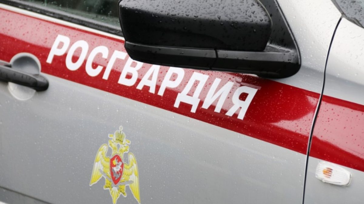 Фото: 13.rosguard.gov.ru