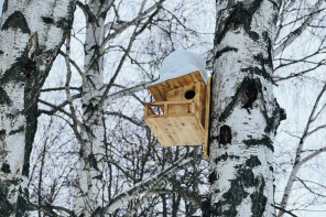 Фото: Администрация ГО Саранск