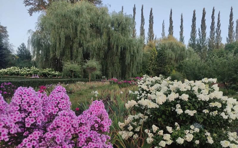 Фото: Минэкономики РМ