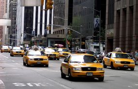 Фото: commons.wikimedia.org/Users Omnibus/BSD license