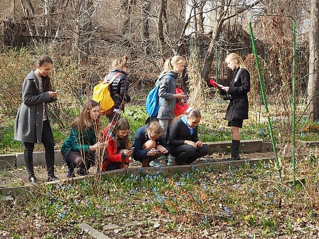 Фото: commons.wikimedia.org/Aliot17/Creative Commons Attribution-Share Alike 4.0