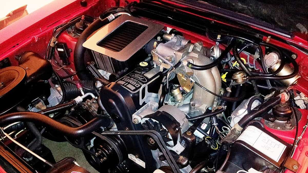 Фото: commons.wikimedia.org/Jimnva/Creative Commons Attribution-Share Alike 3.0