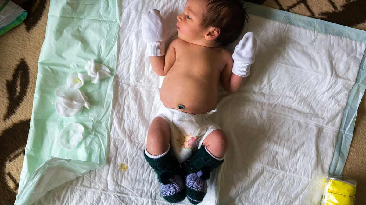 Фото: commons.wikimedia.org/Vyacheslav Argenberg/Creative Commons Attribution 4.0