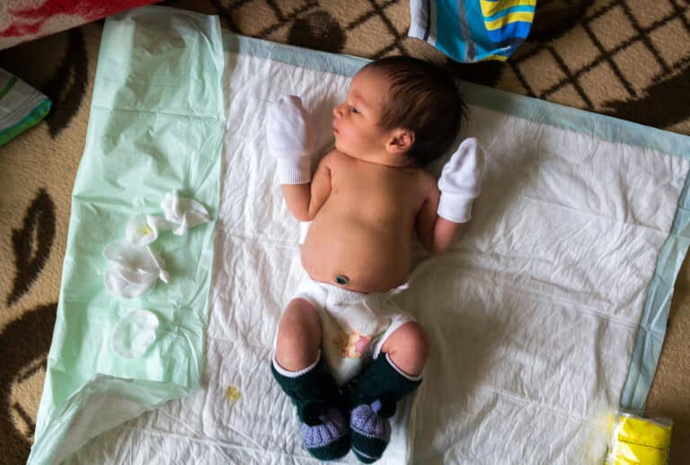 Фото: commons.wikimedia.org/Vyacheslav Argenberg/Creative Commons Attribution 4.0