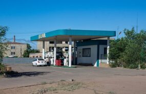 Фото: commons.wikimedia.org/Николай Булыкин/Creative Commons Attribution-Share Alike 4.0