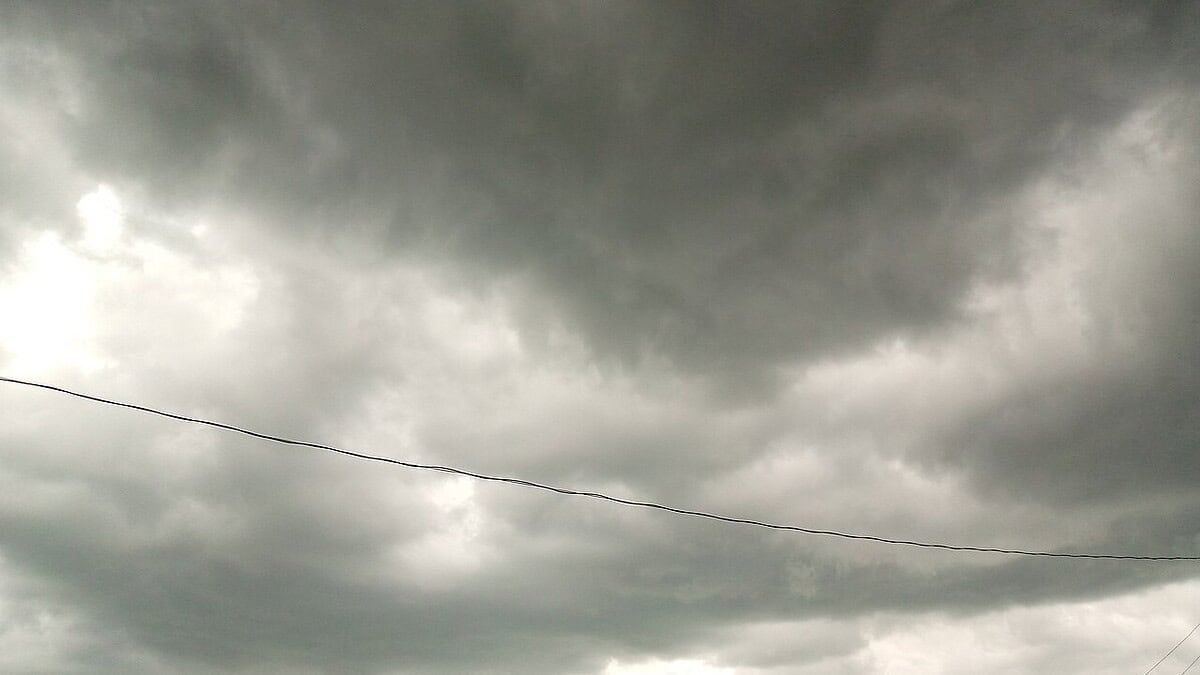 Фото: commons.wikimedia.org/Azorbli/Creative Commons Attribution-Share Alike 4.0