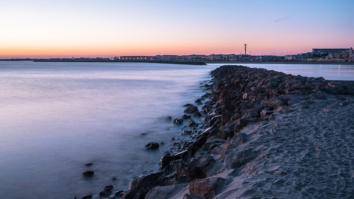 Фото: commons.wikimedia.org/Christian Ferrer/Creative Commons Attribution 4.0