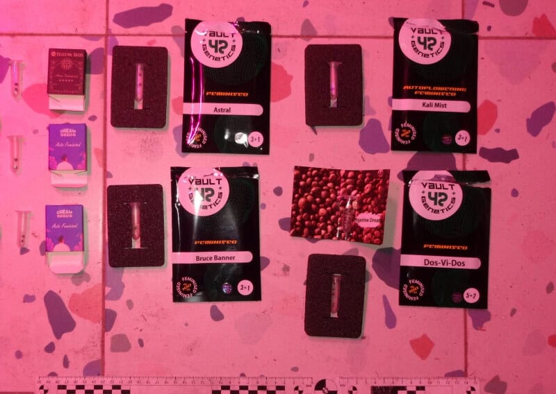 Фото: 13.мвд.рф