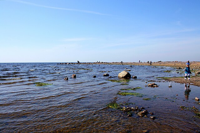 Фото: commons.wikimedia.org/Alena Pasheva/Creative Commons Attribution-Share Alike 3.0