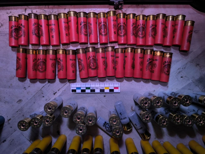 Фото: 13.мвд.рф