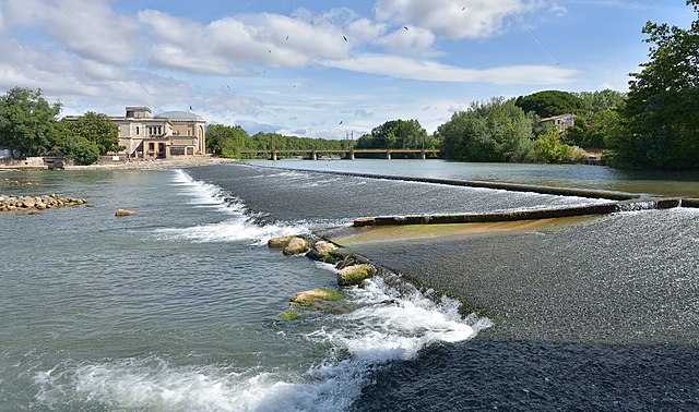 Фото: commons.wikimedia.org/Christian Ferrer/Creative Commons Attribution-Share Alike 4.0