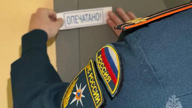 Фото: ГУ МЧС по РМ