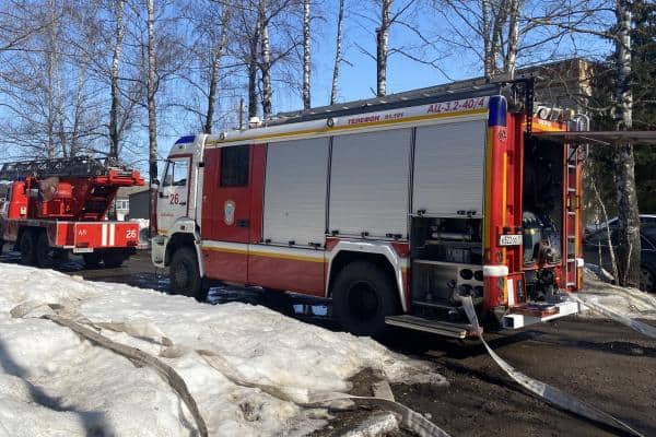 Фото: 13.rosguard.gov.ru