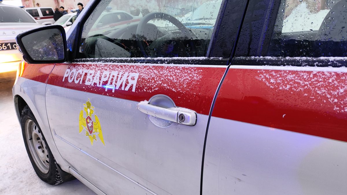 Фото: 13.rosguard.gov.ru